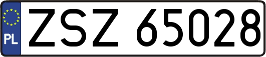 ZSZ65028