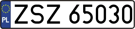 ZSZ65030