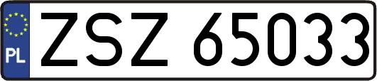 ZSZ65033