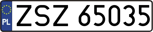 ZSZ65035