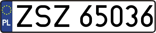 ZSZ65036