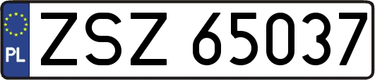 ZSZ65037