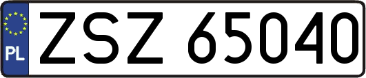 ZSZ65040