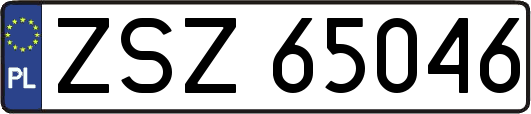 ZSZ65046