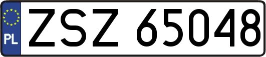 ZSZ65048