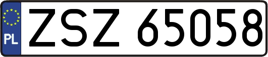ZSZ65058