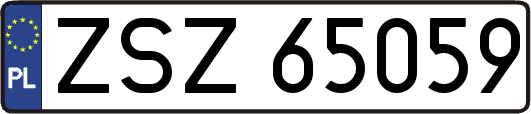 ZSZ65059