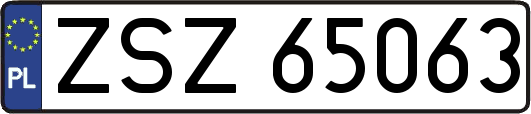 ZSZ65063