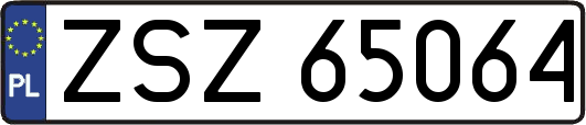 ZSZ65064