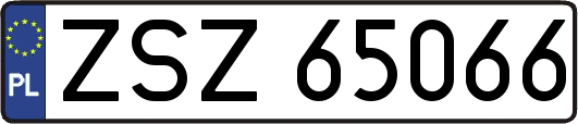 ZSZ65066
