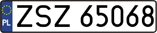 ZSZ65068