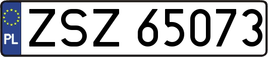 ZSZ65073