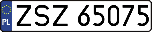 ZSZ65075