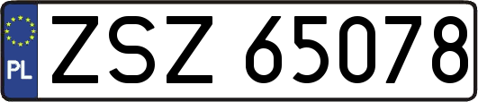 ZSZ65078