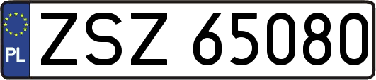 ZSZ65080