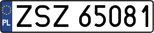 ZSZ65081