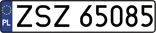 ZSZ65085