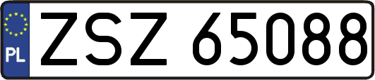 ZSZ65088