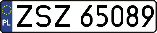ZSZ65089