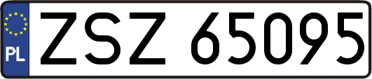 ZSZ65095