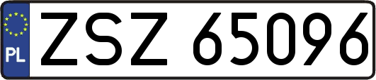 ZSZ65096