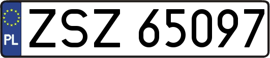 ZSZ65097