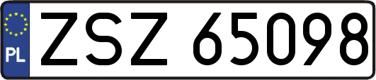 ZSZ65098