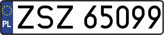 ZSZ65099