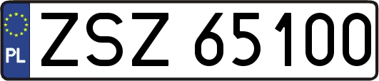 ZSZ65100