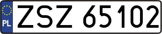 ZSZ65102