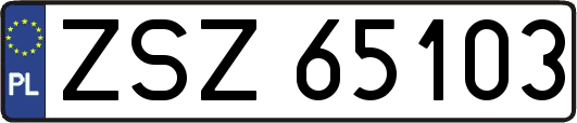 ZSZ65103