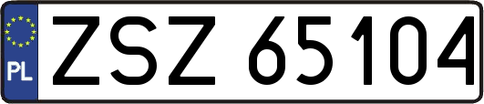 ZSZ65104