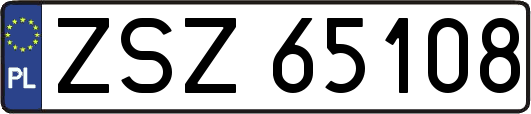 ZSZ65108