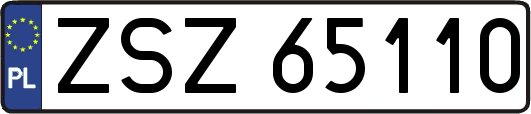ZSZ65110