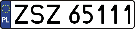 ZSZ65111
