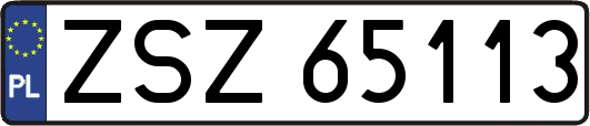 ZSZ65113