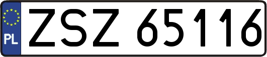 ZSZ65116