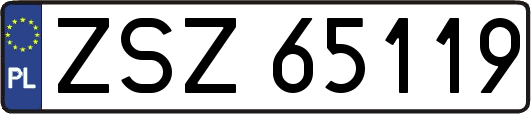 ZSZ65119