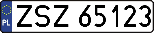 ZSZ65123