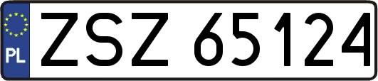 ZSZ65124