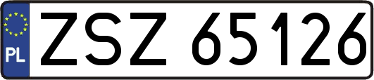 ZSZ65126
