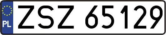 ZSZ65129