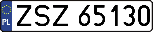 ZSZ65130