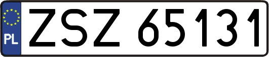 ZSZ65131
