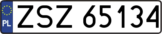 ZSZ65134