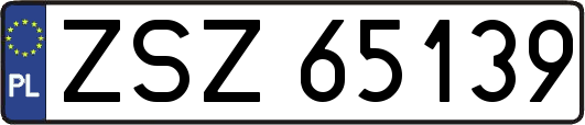 ZSZ65139
