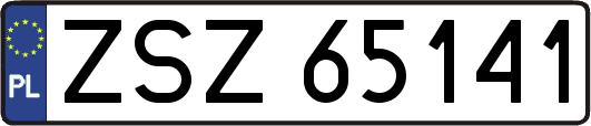ZSZ65141