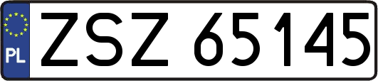 ZSZ65145