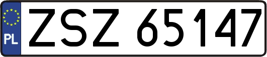 ZSZ65147