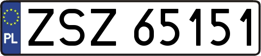 ZSZ65151